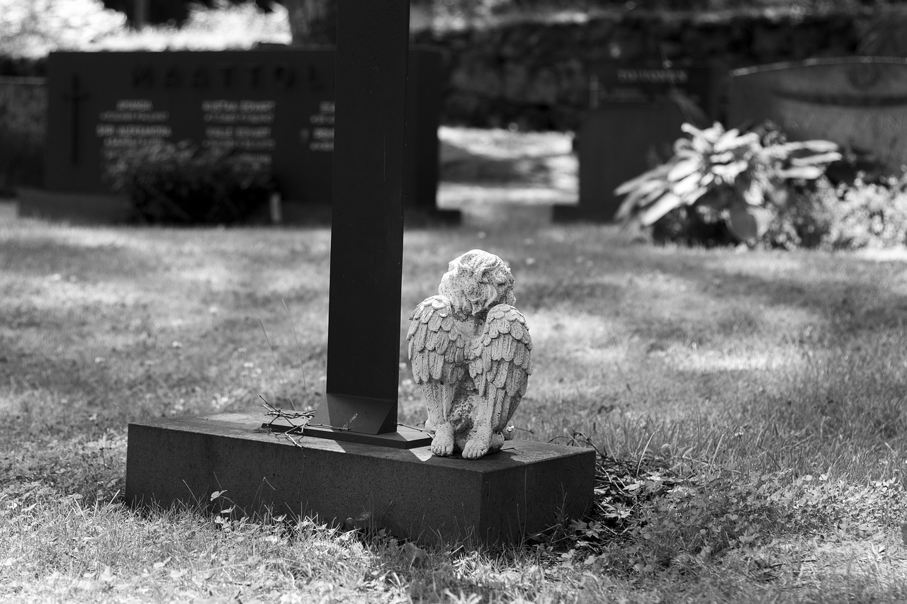 Disaster Recovery: Coping with Loss and Grief